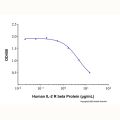 Recombinant Human IL-2 R beta Protein