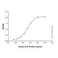 Recombinant Human IL-6R alpha Protein