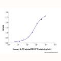 Recombinant Human IL-7R alpha/CD127 Protein