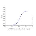 Recombinant Human Granzyme B Protein