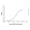 Recombinant Human B7-H2 Protein