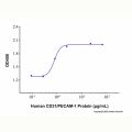 Recombinant Human CD31/PECAM-1 Protein