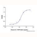 Recombinant Human IL-1 RII Protein