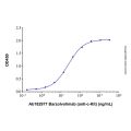 Recombinant Human CD117/c-kit Protein