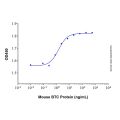 Recombinant Mouse Betacellulin Protein