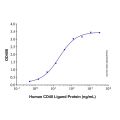 Recombinant Human CD40/TNFRSF5 Protein