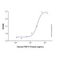 Recombinant Human FGF-17 Protein