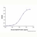 Recombinant Human Ephrin-A5 Protein