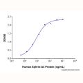 Recombinant Human EphA4 Protein