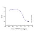 Recombinant Human FGFR4 Protein