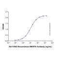Recombinant Human Mer Protein