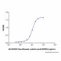 Recombinant Human ROR2 Protein