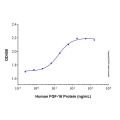 Recombinant Human FGF-16 Protein