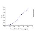 Recombinant Human EphB3 Protein