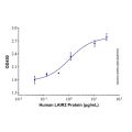 Recombinant Human LAIR2 Protein
