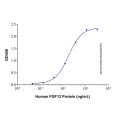 Recombinant Human FGF-12 Protein