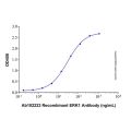 Recombinant Human ERK1 Protein