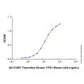 Recombinant Human Thymidine Kinase 1 Protein