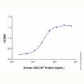 Recombinant Human GM-CSF Protein