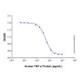 Recombinant Human TNF-α Protein