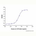 Recombinant Human IL-18 Protein