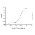 Recombinant Rat CNTF Protein