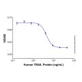 Recombinant Human TRAIL/TNFSF10 Protein