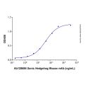 Recombinant Human Sonic Hedgehog/Shh Protein