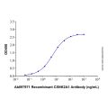 Recombinant Human Casein Kinase 2 alpha Protein