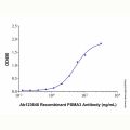 Recombinant Human PSMA3 Protein