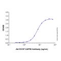 Recombinant Human UAP56 Protein