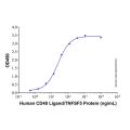 Recombinant Human CD40 Ligand/TNFSF5 Protein
