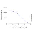 Recombinant Human KRAS (G13D) Protein