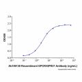 Recombinant Human GPR37 Protein