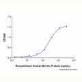 Recombinant Human Bcl-XL Protein