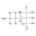 Alendronic Acid-d6 (Major)