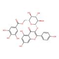 Astragalin 6''-gallate