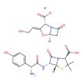 Amoxicillin-Potassium Clavulanate Combination