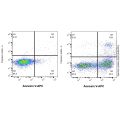 Annexin V-APC/PI 细胞凋亡检测试剂盒