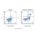 Annexin V-Biotin/PI细胞凋亡检测试剂盒