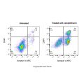 Annexin V-APC/DAPI 细胞凋亡检测试剂盒