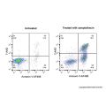 Annexin V-AF488/7-AAD 细胞凋亡检测试剂盒