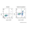 Annexin V-AF647/7-AAD 细胞凋亡检测试剂盒