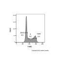 7-AAD 细胞周期检测试剂盒