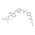 Adenosine amine congener