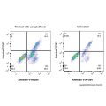 Annexin V-AF594/Hoechst 33342 细胞凋亡检测试剂盒