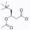 乙酰基左旋肉碱 (ALCAR)
