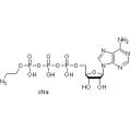 γ-[2-叠氮基乙基] -ATP（水溶液）