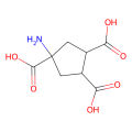 ACPT-II,竞争性mGlu受体拮抗剂