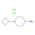 1-环丁基-4-氨基哌啶二盐酸盐